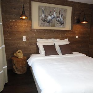 Suite Junior